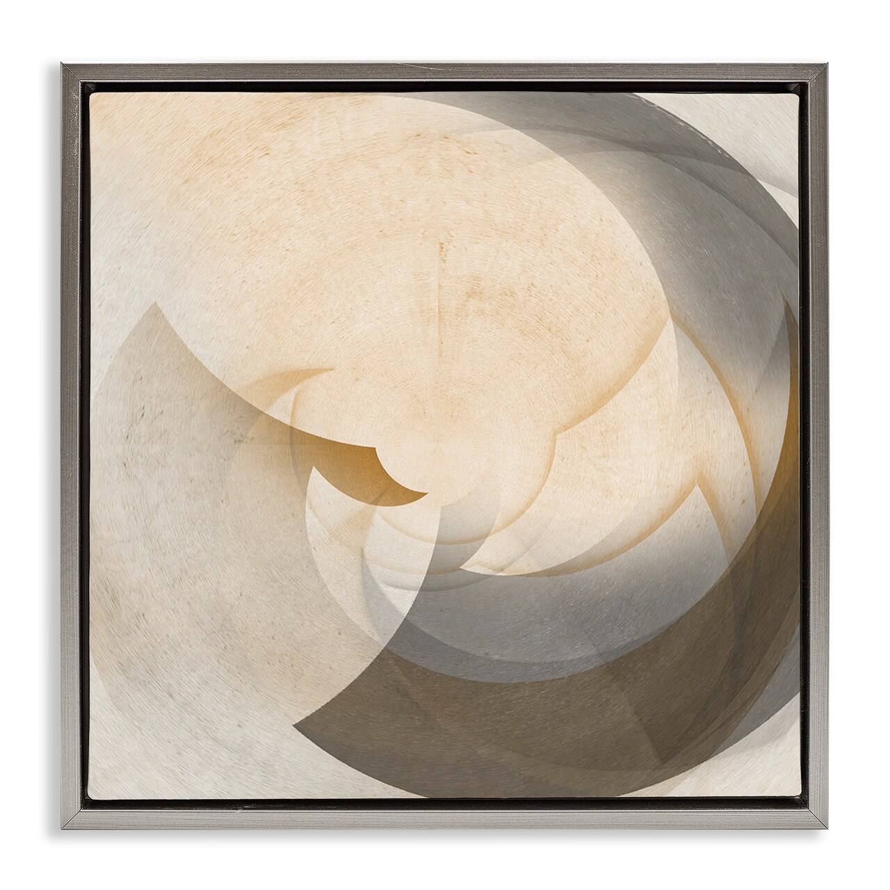 Stupell Industries Shadowed Form Curve Framed Floater Canvas Wall Art Design by Noah Bay